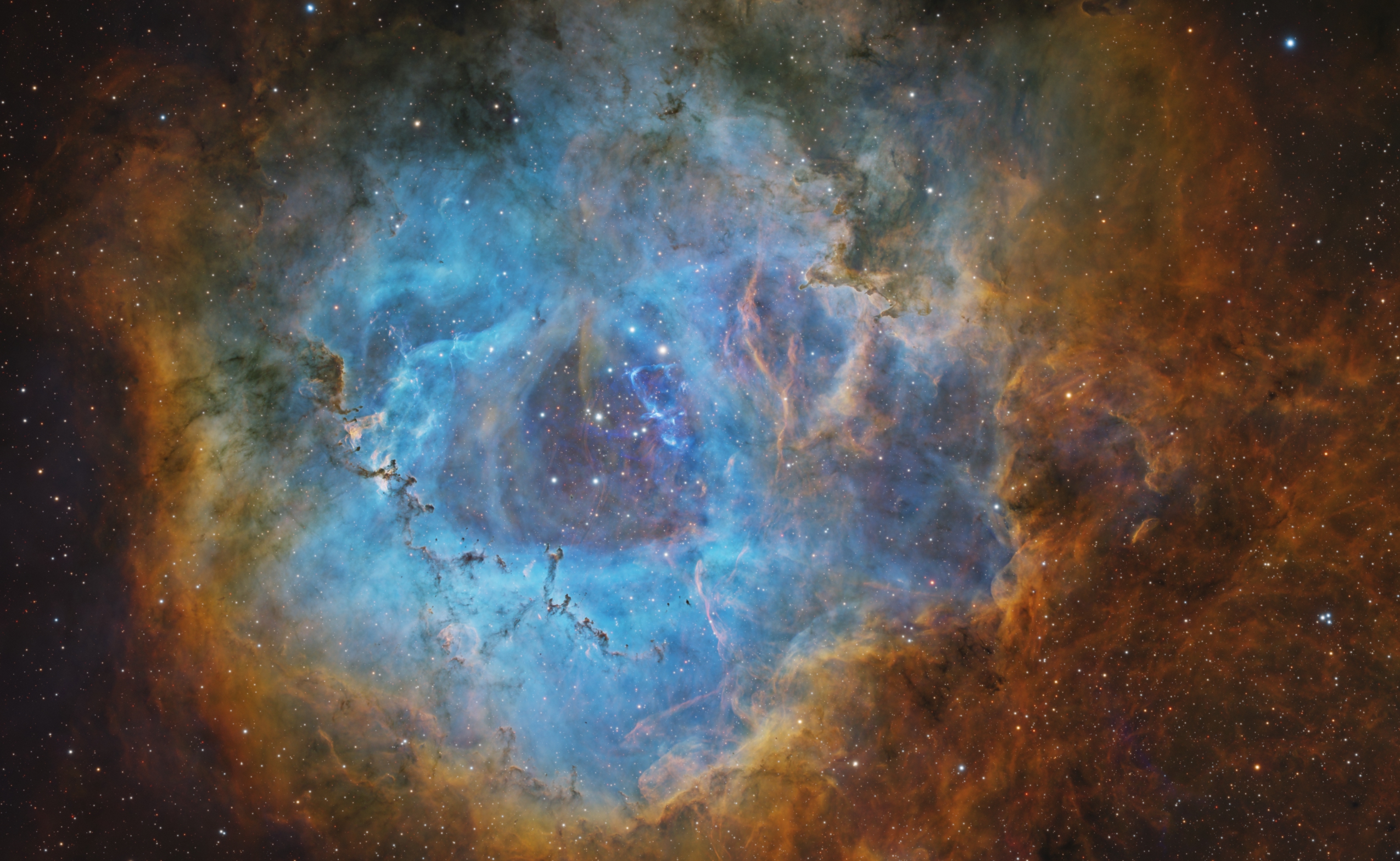 The Rosette